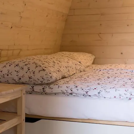 International Olympia