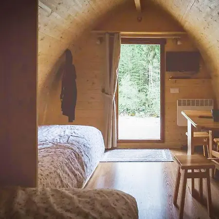 International Olympia