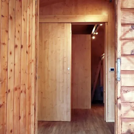 International Olympia *