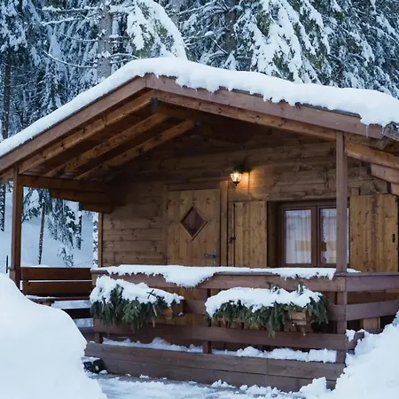 International Olympia